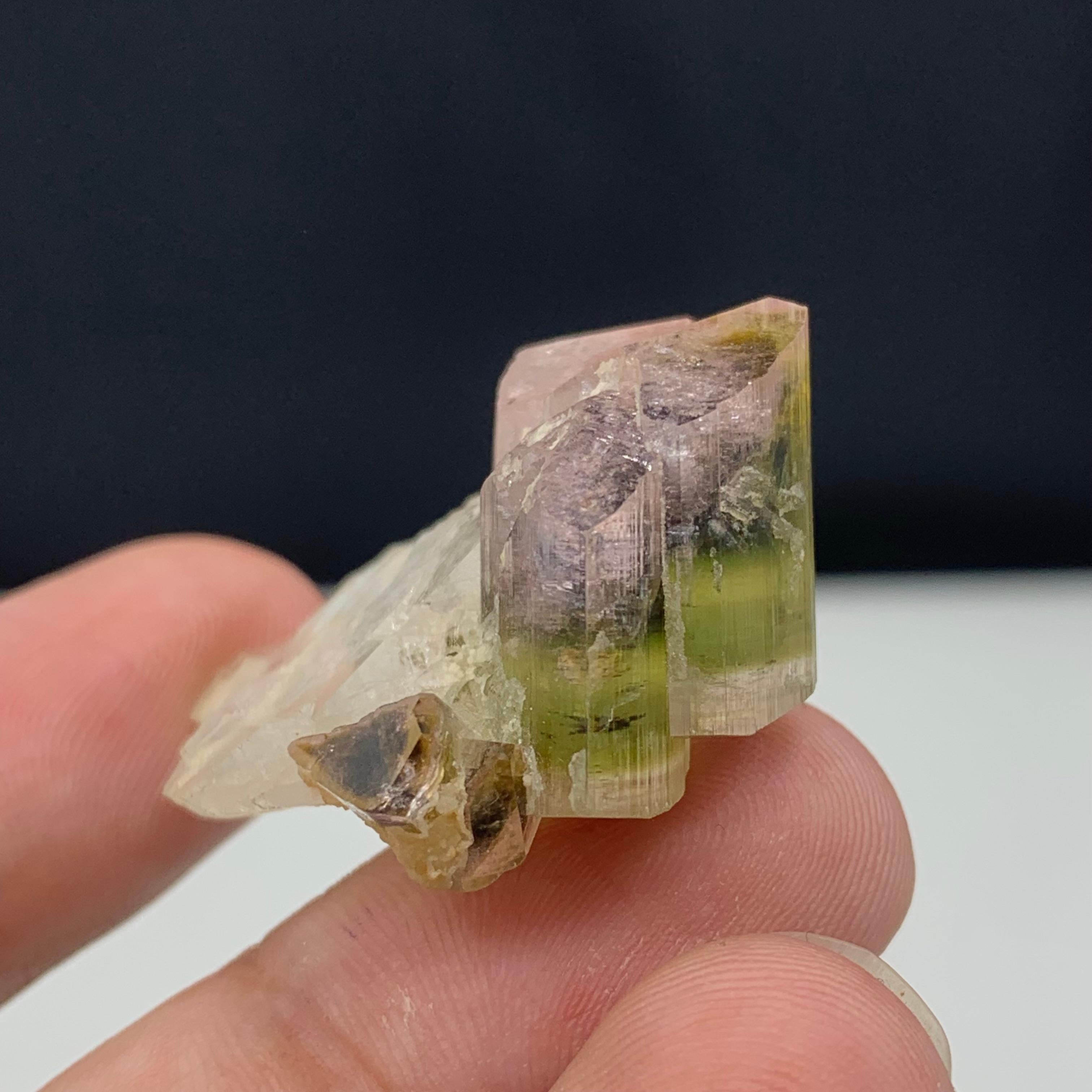 Wunderschöner dreifarbiger Turmalin auf Quarz 
GEWICHT: 65 Karat
ABMESSUNGEN: 2.0 x 2.6 x 3.3 Cm
URSPRUNG: Stak Nala, Gilgit Baltistan, Pakistan
BEHANDLUNG: Keine

Der Turmalin ist ein äußerst beliebter Edelstein; der Name Turmalin leitet sich