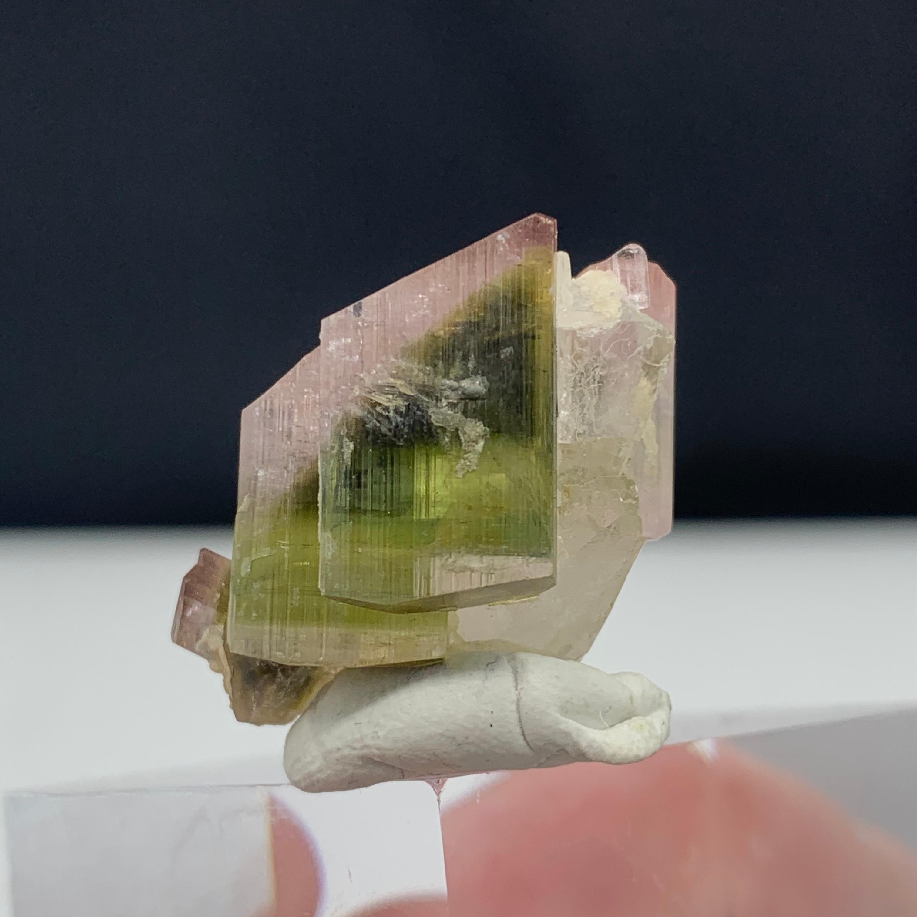 Wunderschöner 65 Karat dreifarbiger Turmalin auf Quarz aus Stak Nala, Pakistan (Sonstiges) im Angebot