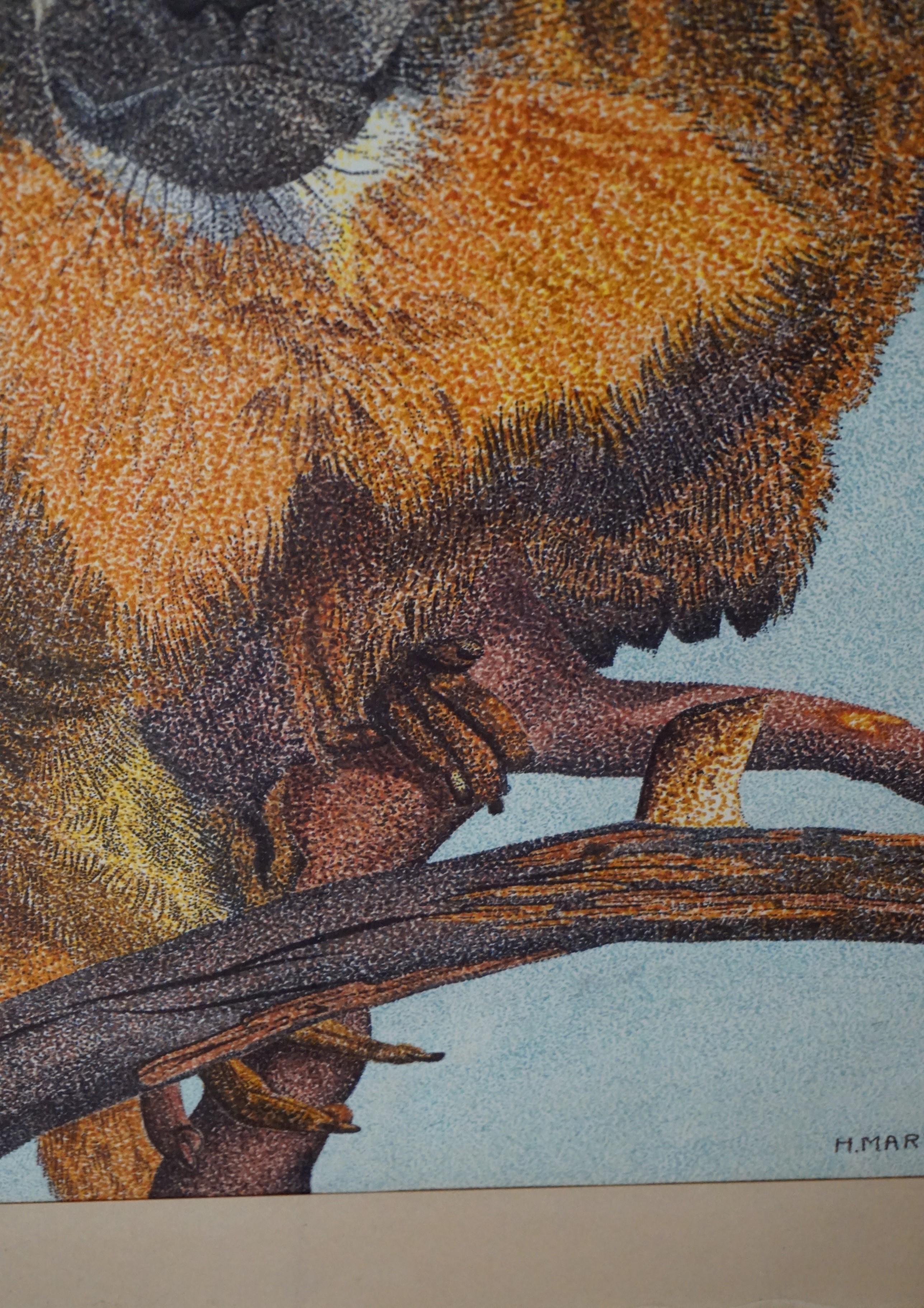 Wunderschöne Zeichnung / Gemälde Eule Affenvogel, Anfang bis Mitte des 20. Jahrhunderts (Handbemalt) im Angebot