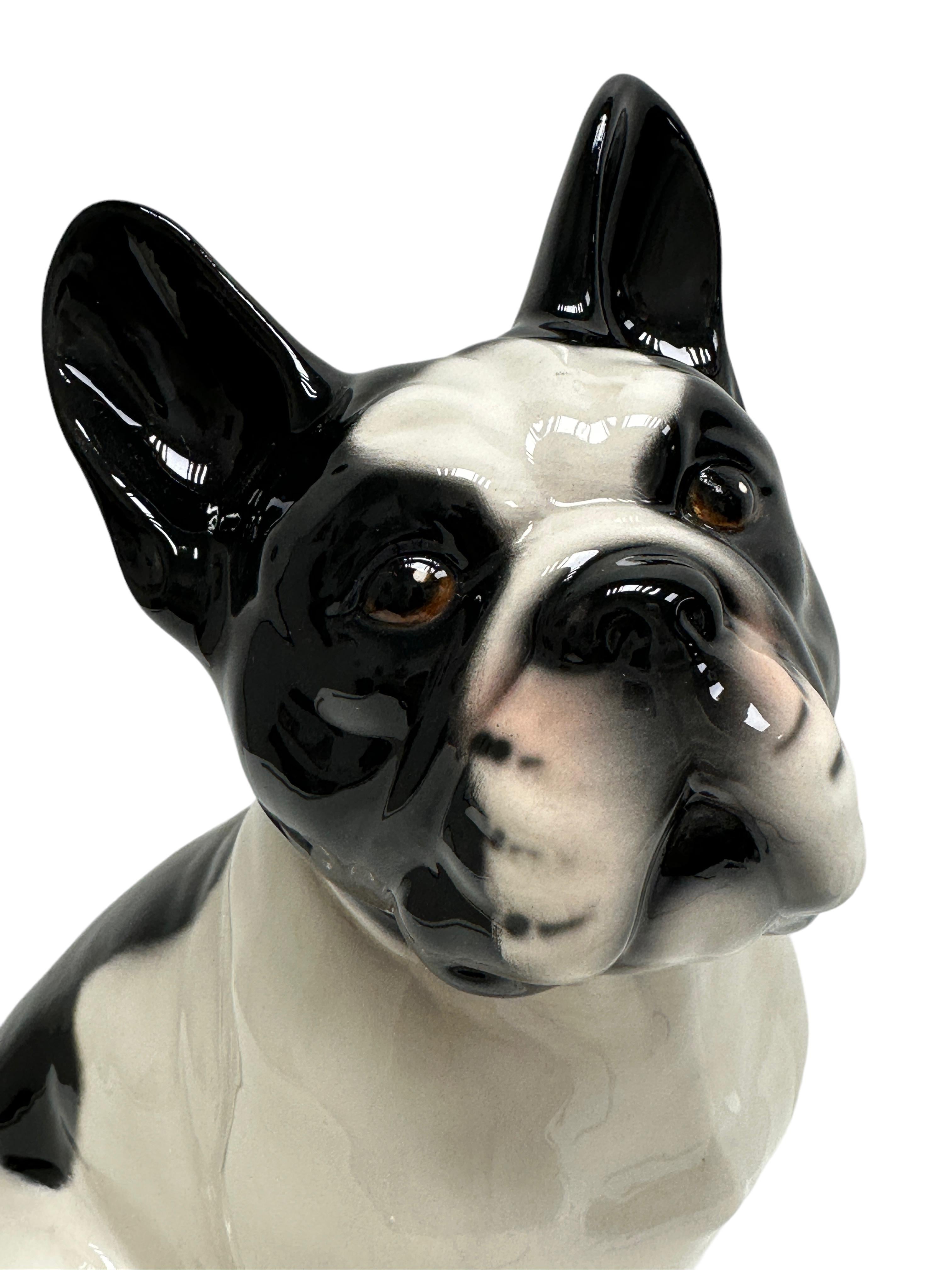 Mid-Century Modern Marvelous French Bulldog Pug Dogs Ceramic Statue Sculpture Vintage, Italy, 1980s For Sale