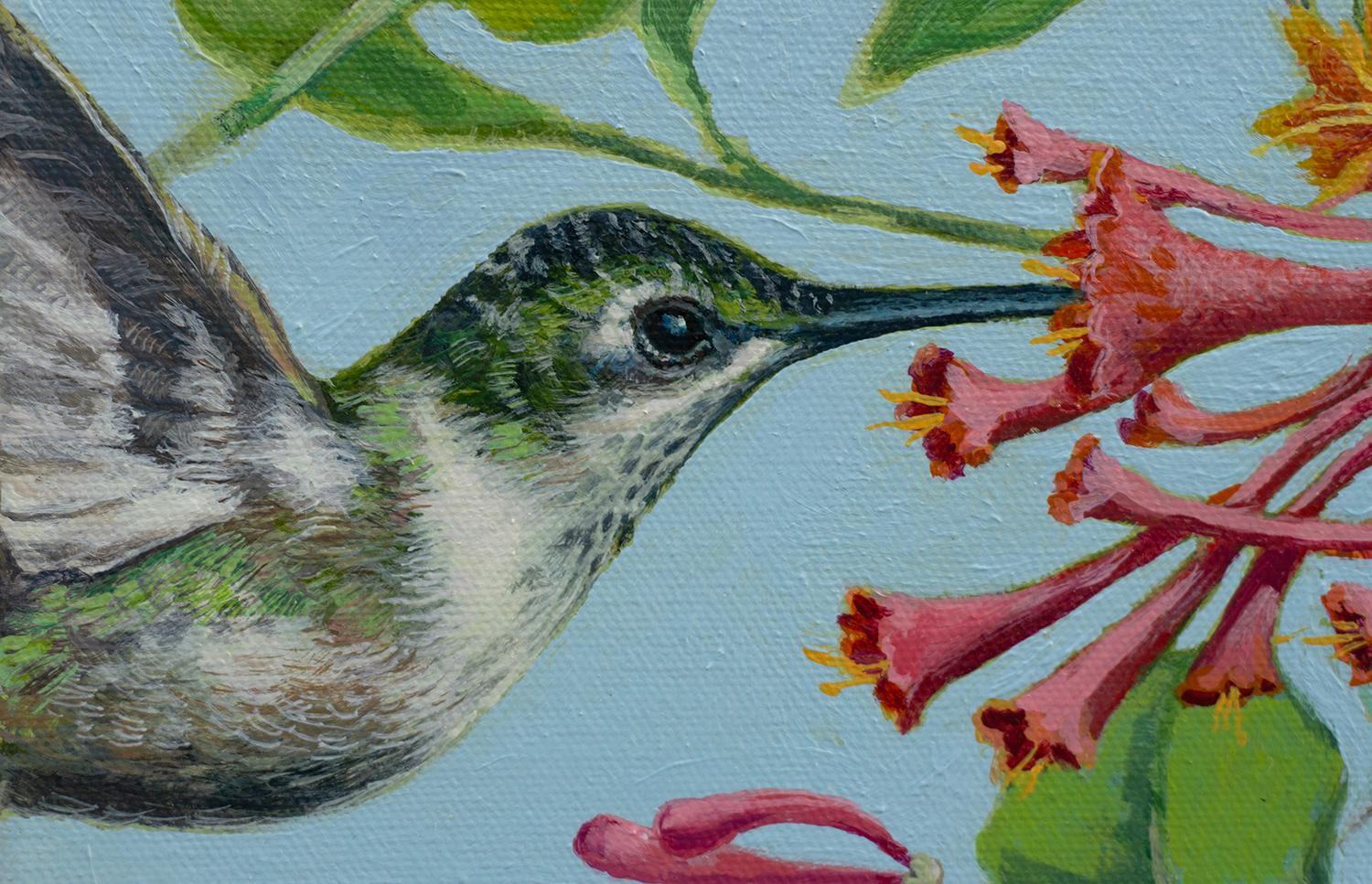Colibrì nel caprifoglio, dipinto originale - Animal Painting Grigio di Mary Beatty-Brooks