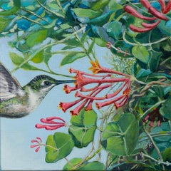Hummingbird in the Honeysuckle, Original Painting