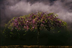 Photo à grande échelle en forme de nuages péridots sur aluminium avec arbre en fleurs