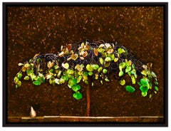 Winter Pear - Large Scale Glossy Photo on Aluminum with Red Bud Tree and Pear