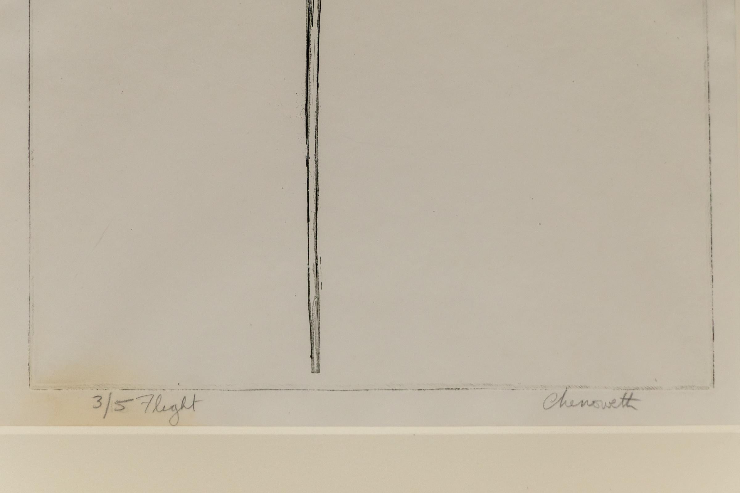 Gravure à l'eau-forte 