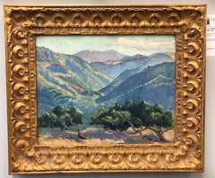 Mountain reflections