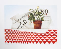 Strawberry Plant and Figaro, Folk Art Lithograph by Mary Faulconer