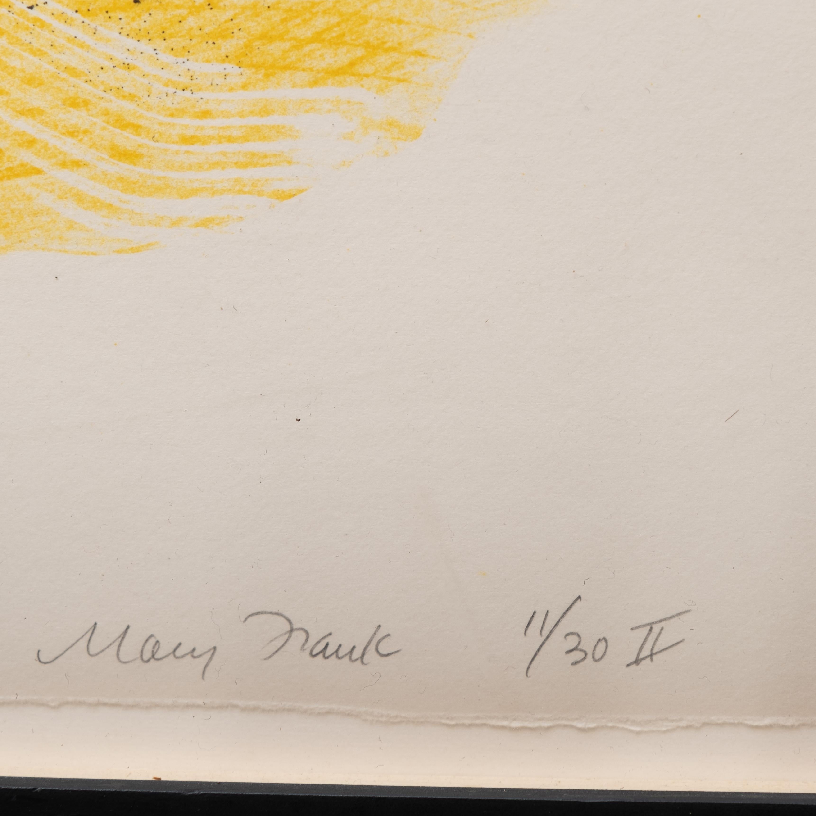 Mary Frank Signed and Numbered Lithograph In Good Condition In Hudson, NY