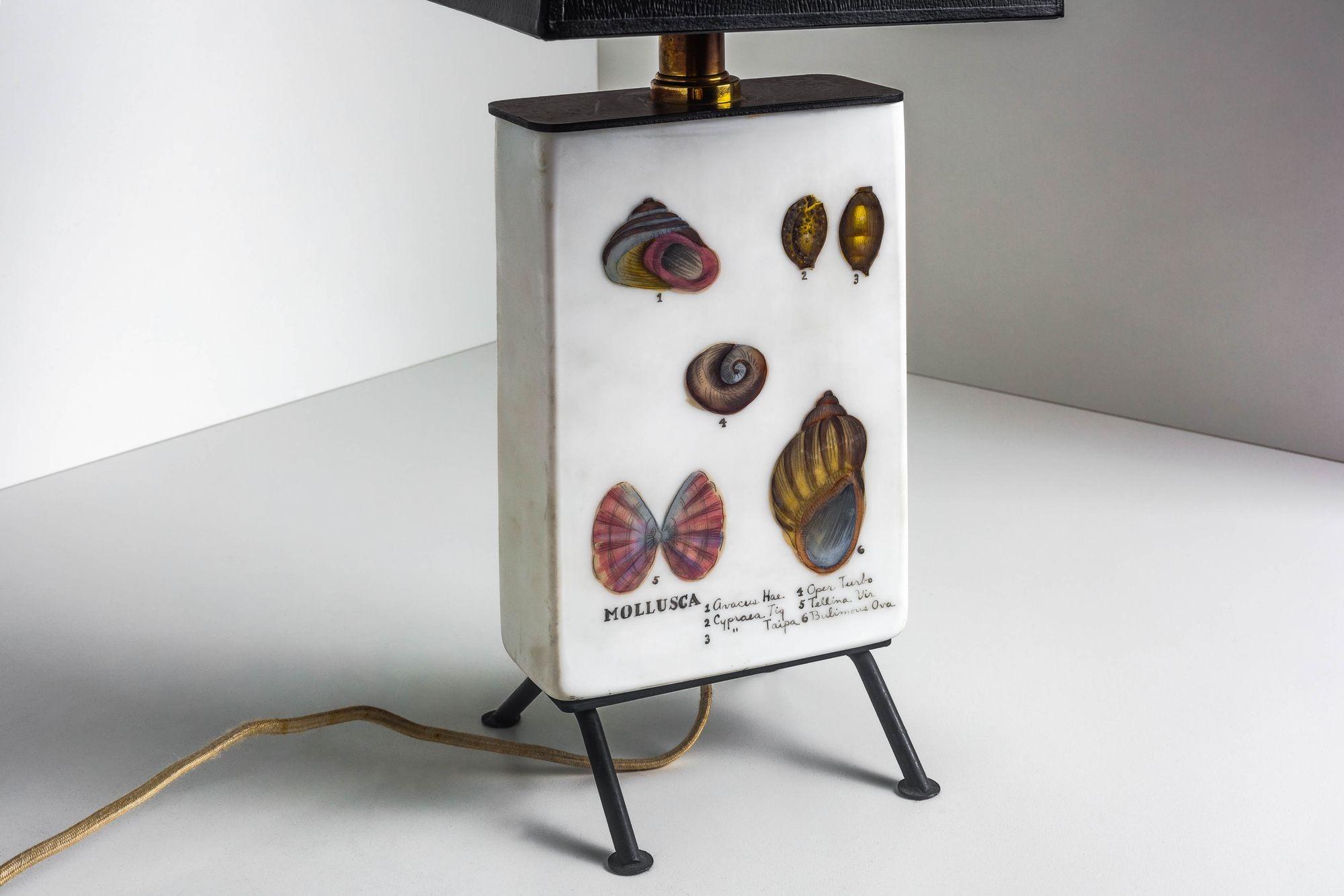 Italian Mary Hughes Sea Shell Table Top Lamp For Sale