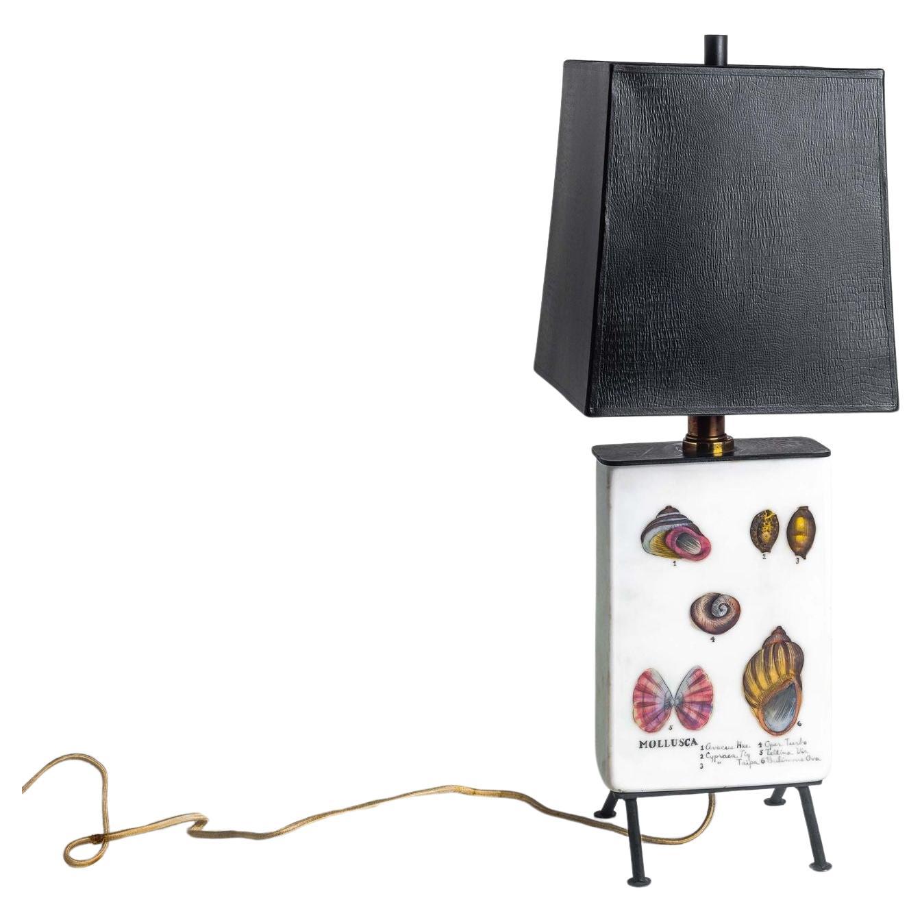 Mary Hughes Sea Shell Table Top Lamp For Sale