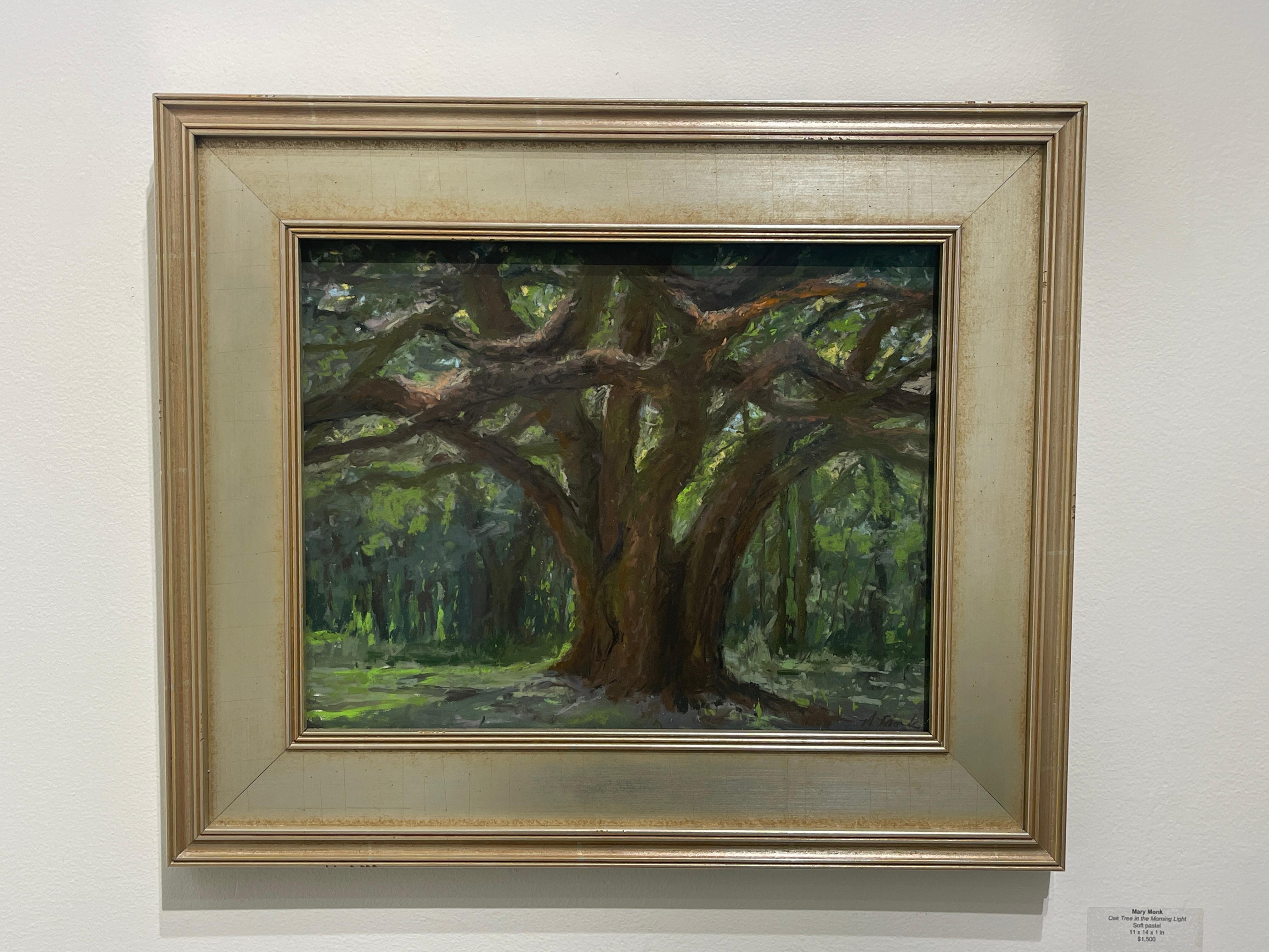 Oak Tree in the Morning Light - Painting by Mary Monk