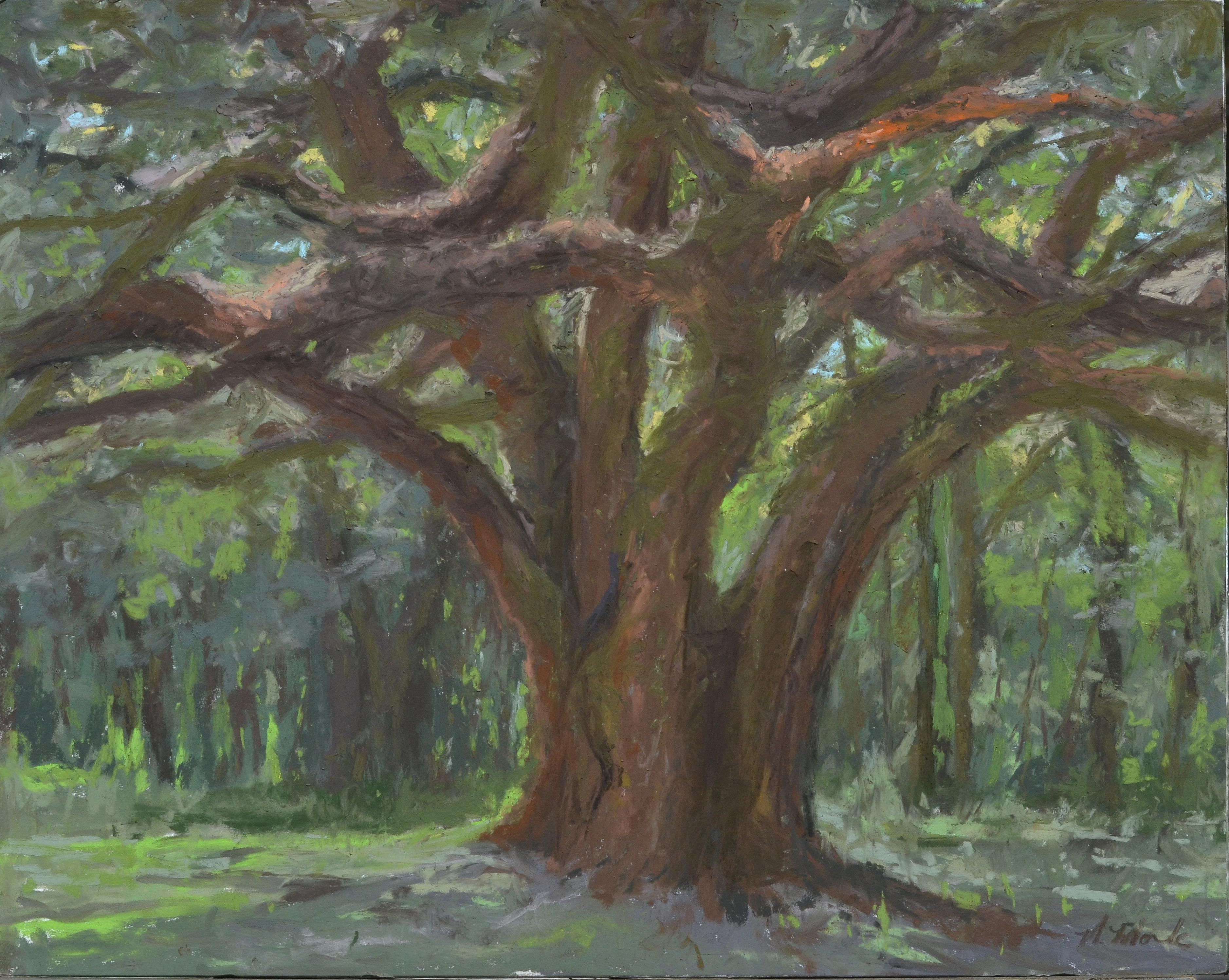 Mary Monk Landscape Painting - Oak Tree in the Morning Light