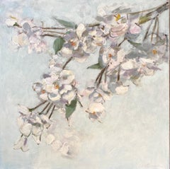 Cherry Blossoms