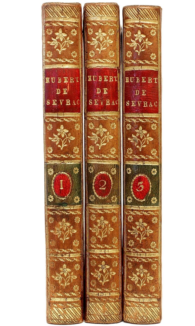 Late 18th Century Mary Robinson, Hubert De Sevrac a Romance of the Eighteenth Century, 1st Ed 1796 For Sale