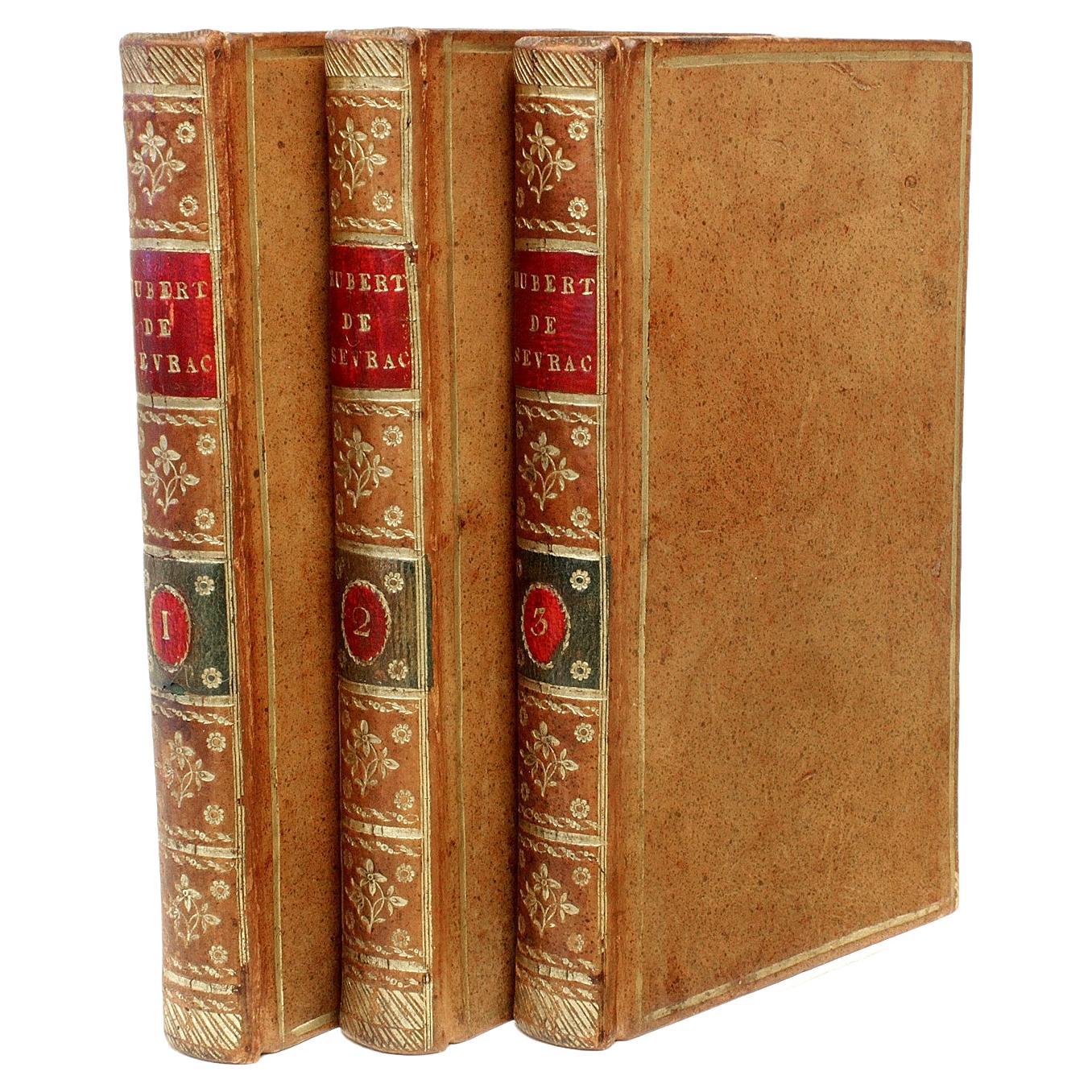 Mary Robinson, Hubert De Sevrac a Romance of the Eighteenth Century, 1st Ed 1796 For Sale