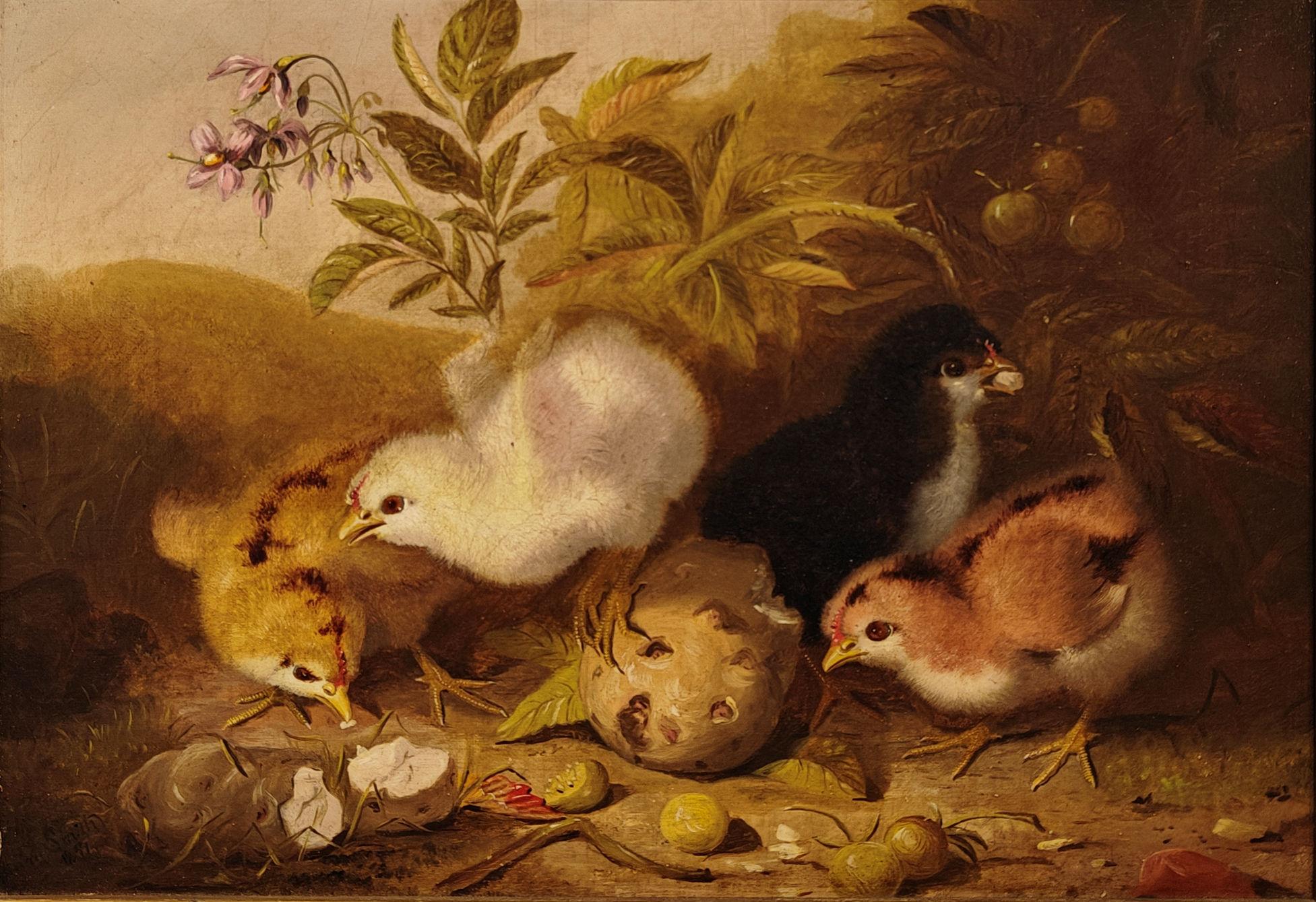 "Tribu emplumada" Mary Russell Smith, 1871 Pintura "Polluelos académicos agraciados