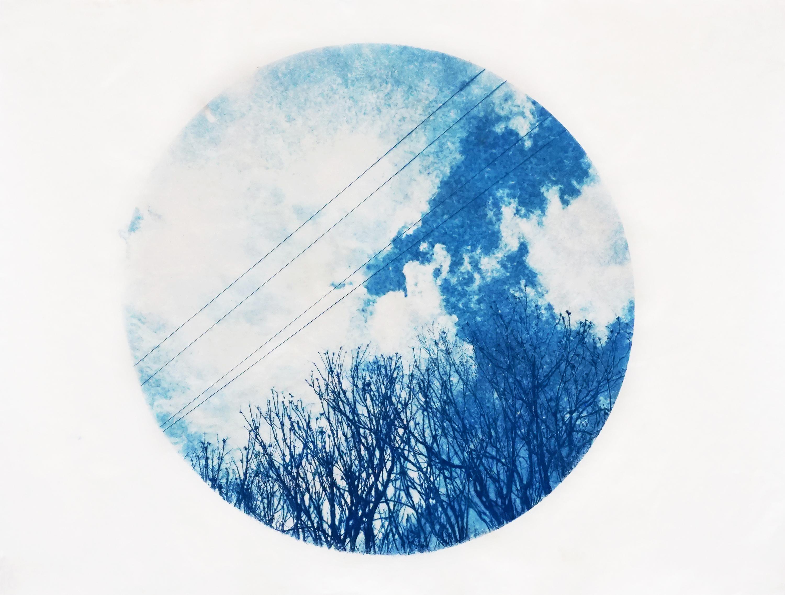 Mary Stuart Walker Landscape Photograph - "Branched" - cyanotype, circle, sky, clouds, branches, blue