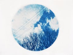 "Branched" - cyanotype, circle, sky, clouds, branches, blue
