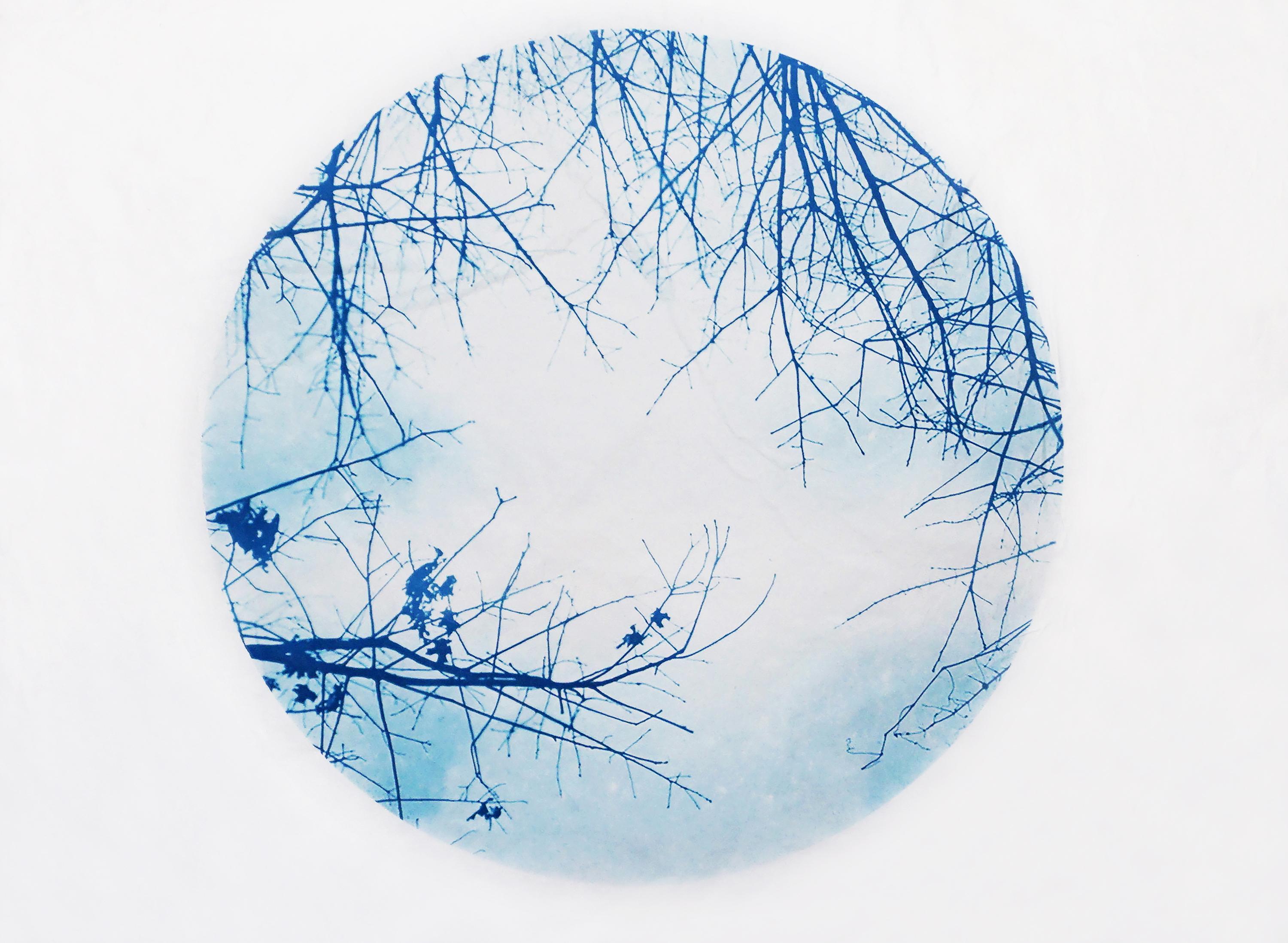 Mary Stuart Walker Landscape Photograph - "Budding Circle" - cyanotype, circle, sky, clouds, branches, blue