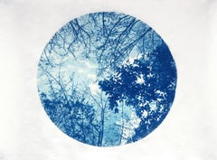 "Canopy #1" - cyanotype, circle, sky, clouds, branches, blue