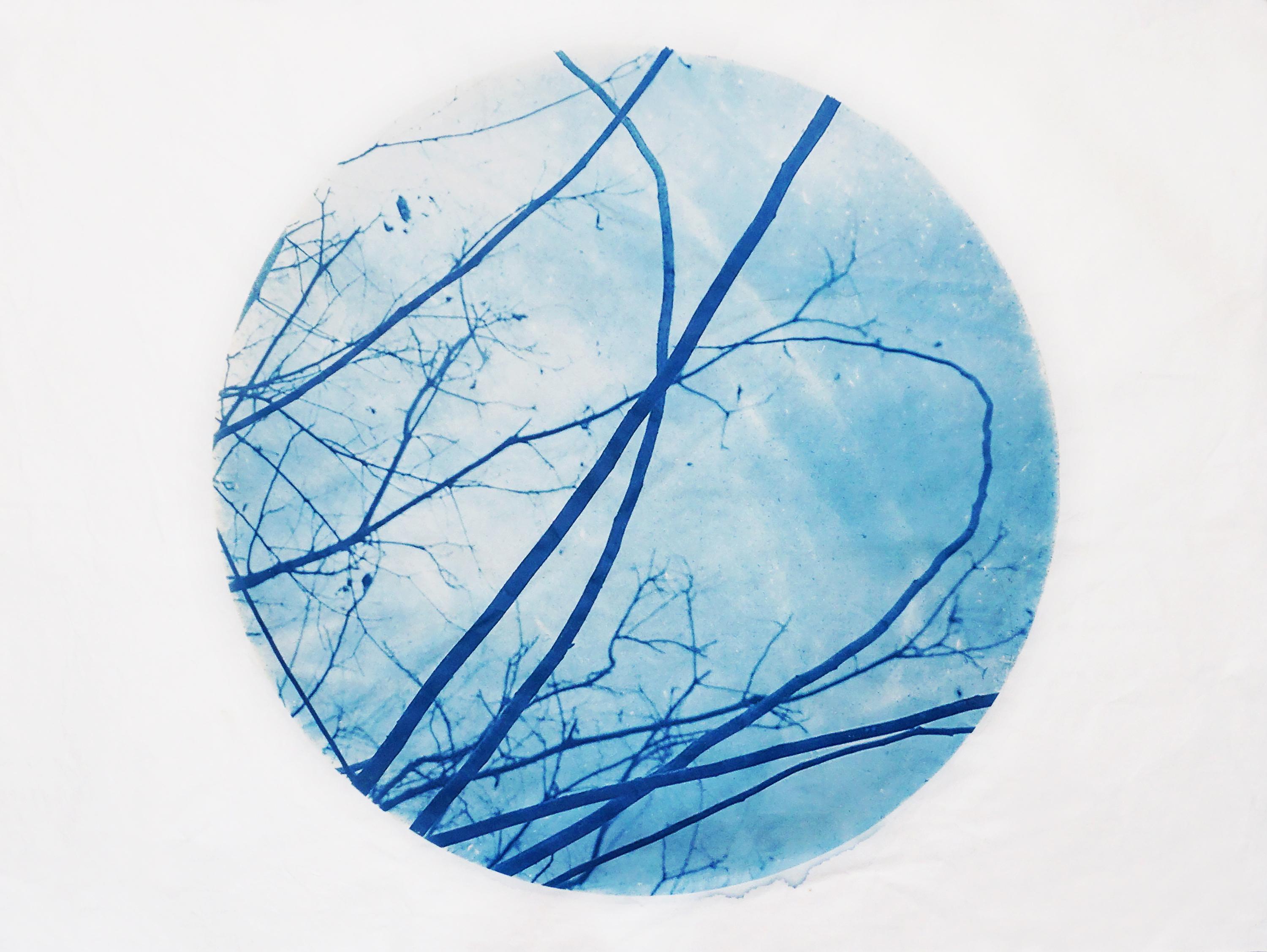 Mary Stuart Walker Landscape Photograph - "Indefinite Entanglement" - cyanotype, circle, sky, clouds, branches, blue