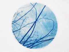 "Indefinite Entanglement" - cyanotype, circle, sky, clouds, branches, blue
