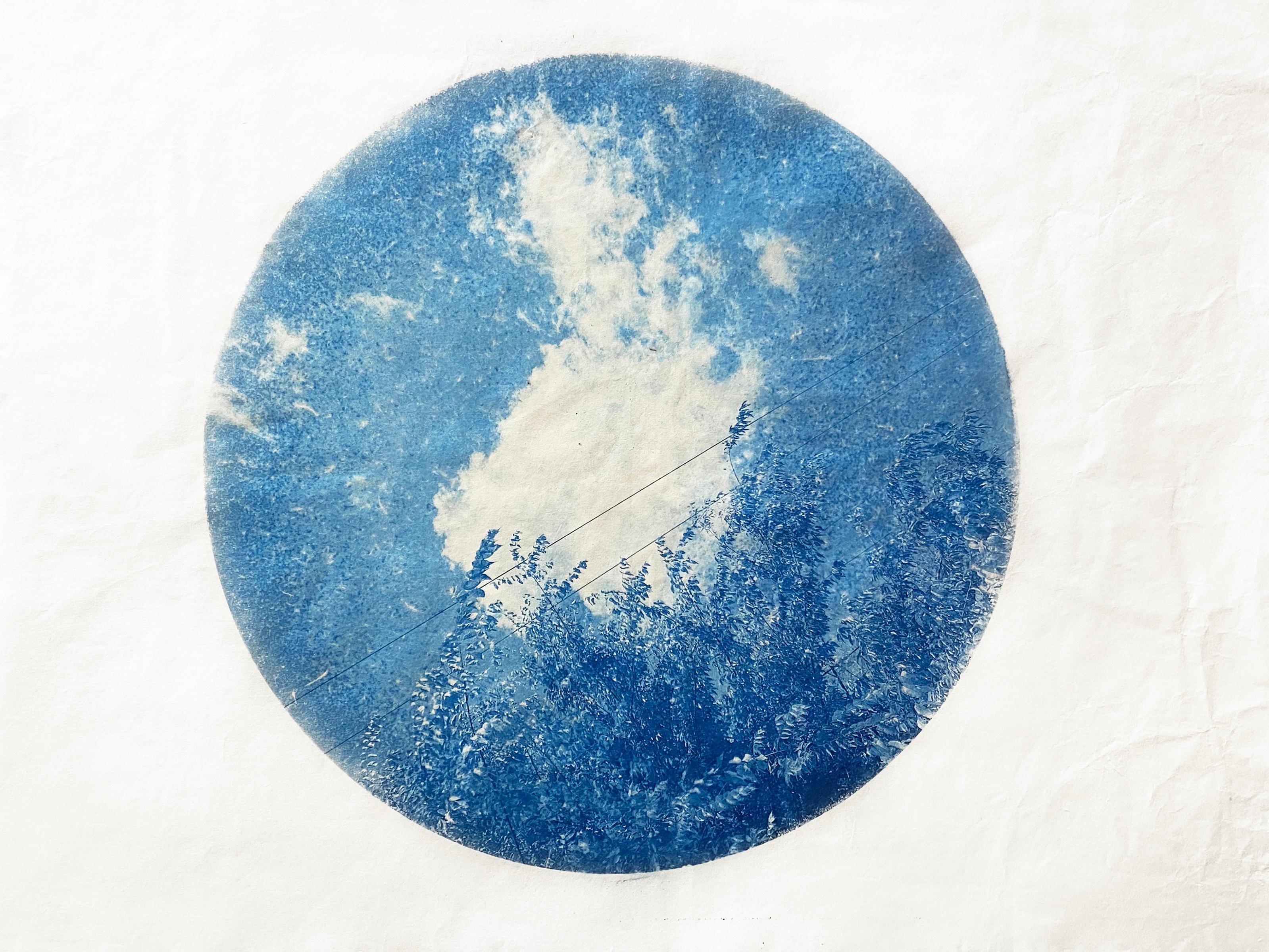 Mary Stuart Walker Landscape Photograph - "Passing Through" - cyanotype, circle, sky, clouds, branches, blue