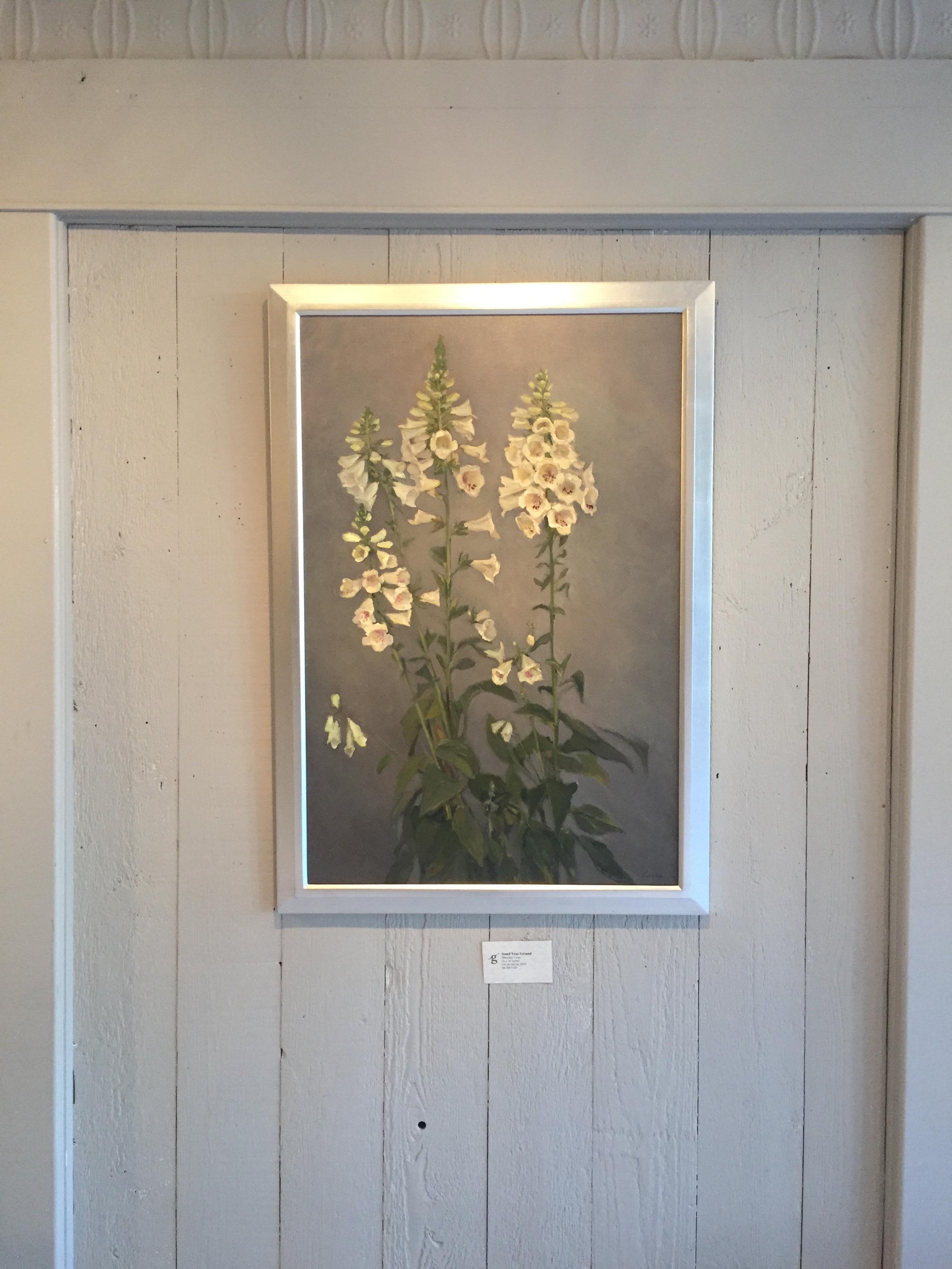 lucas foxglove plant