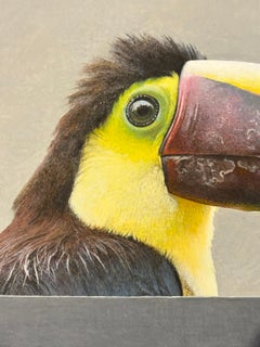 A metaphysical still life featuring a toucan and remarkable realism