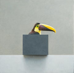 A metaphysical still life featuring a toucan and remarkable realism
