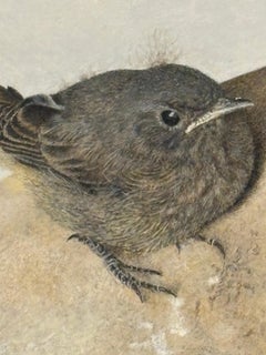 Black Redstart on a Solitary Stone - A gray-toned still life featuring birds