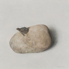 Black Redstart on a Solitary Stone - A gray-toned still life featuring birds
