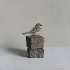 House Sparrow on Porphyry Stones - Contemporary Still Life in gray