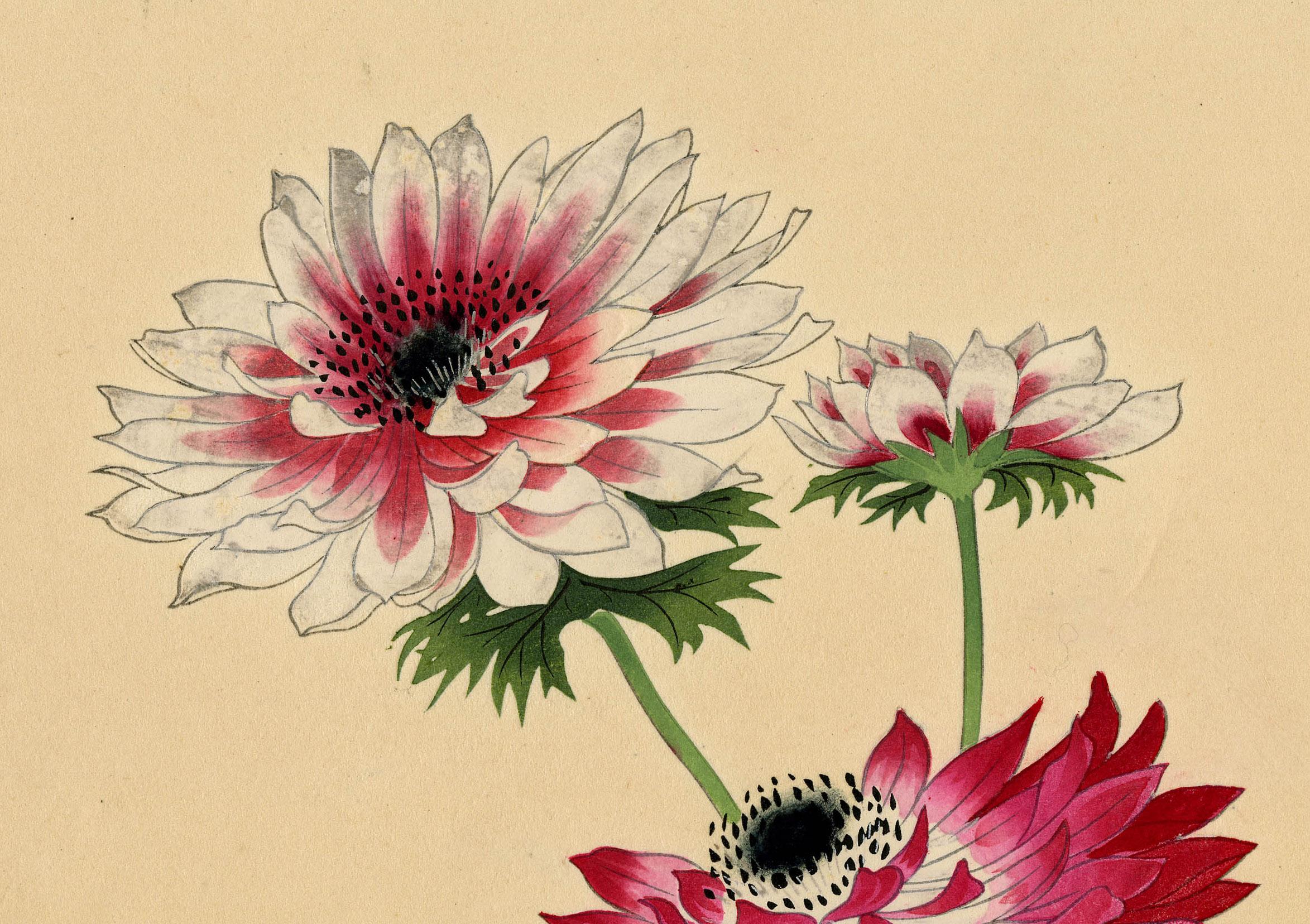 Crisantemos - Still-Life Print Beige de Masaharu Aoyama