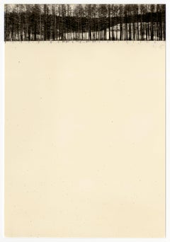 Yamamoto Masao, #845, from Nakazora, gelatin silver print, 1998