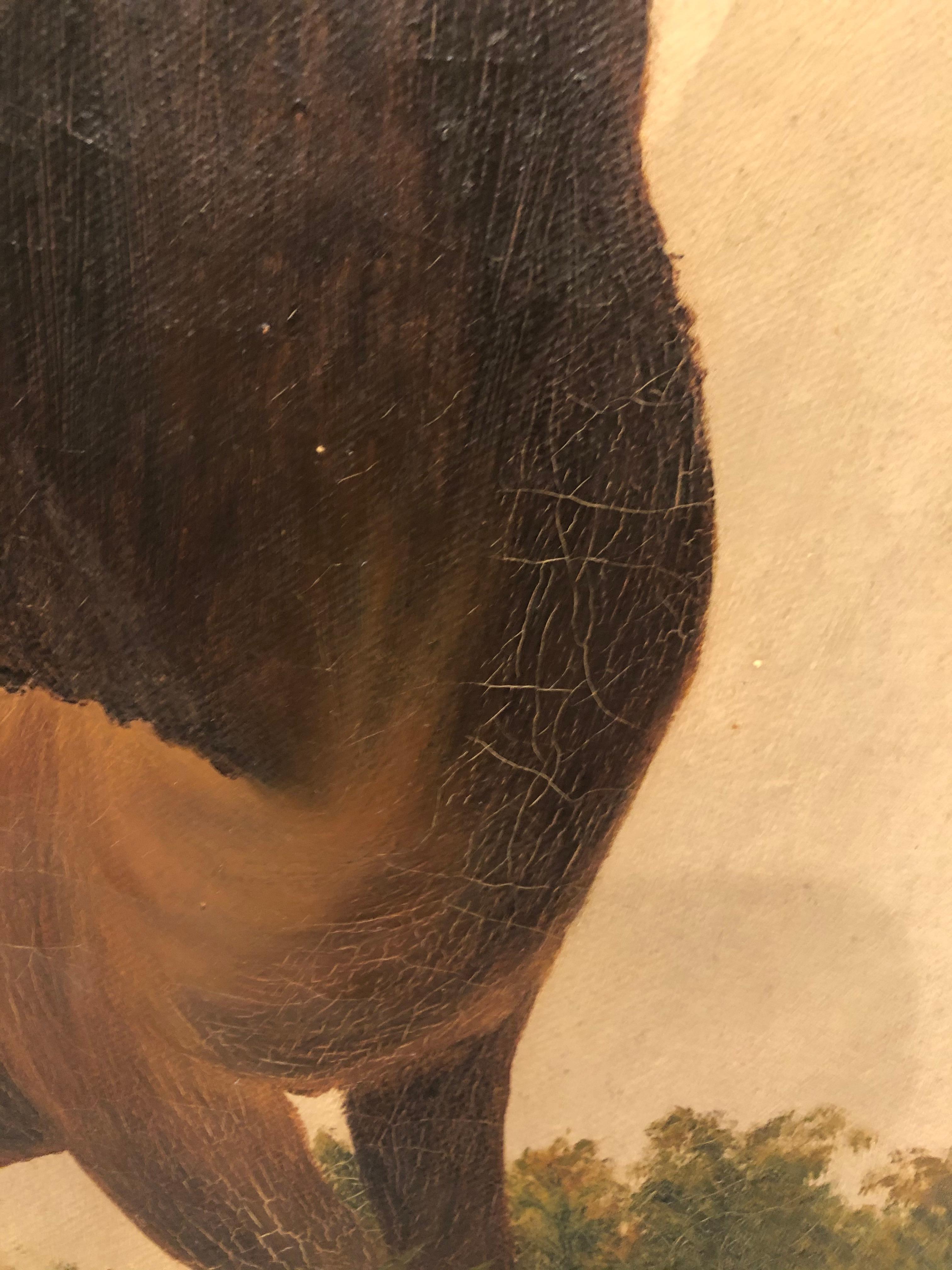 Masculine Moody, Originales Gemälde eines stolzen Hirsches aus dem 19. Jahrhundert im Zustand „Gut“ im Angebot in Hopewell, NJ