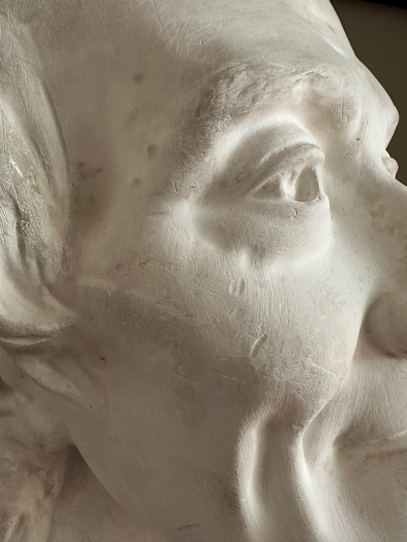 bust of voltaire