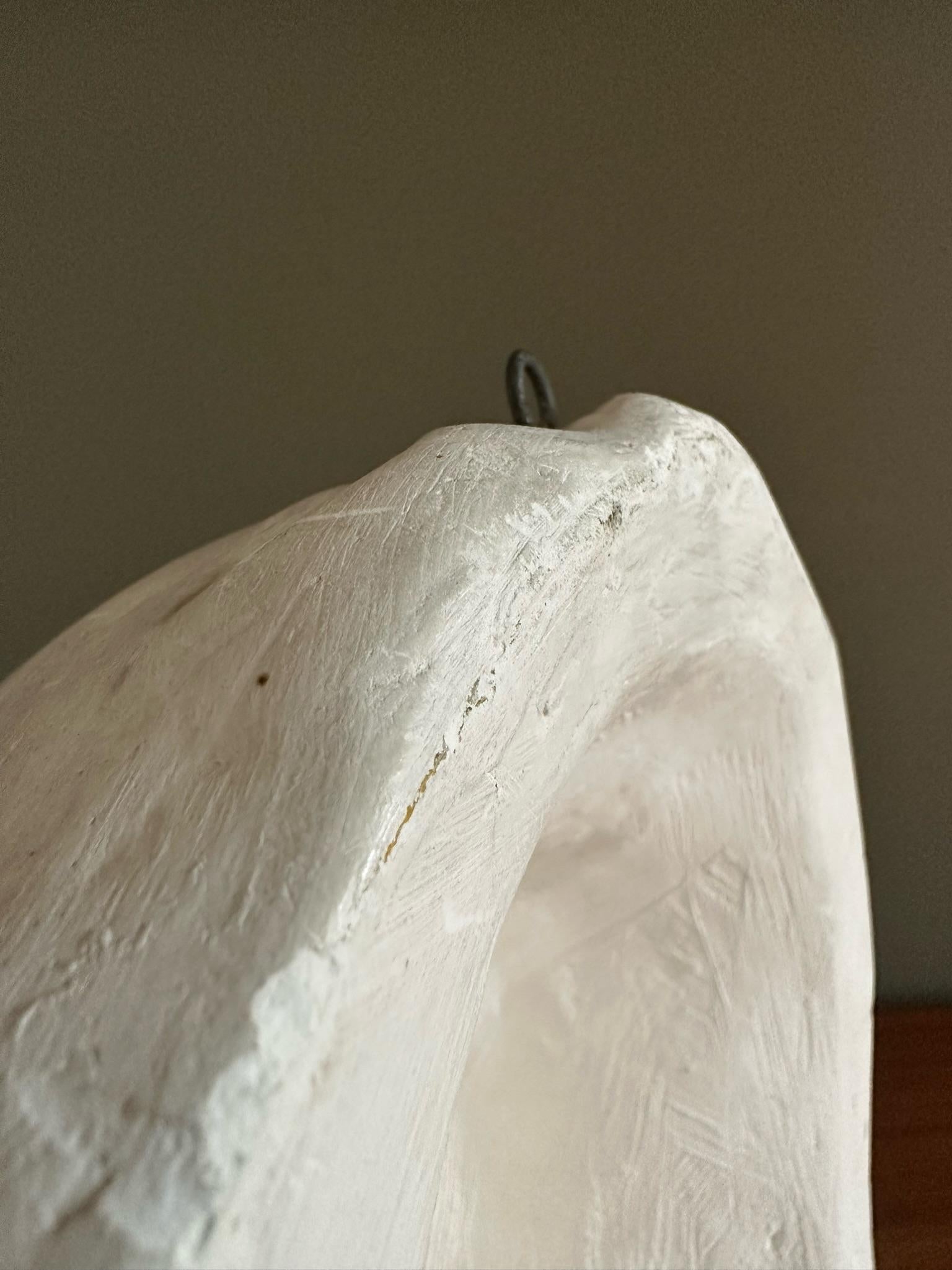 voltaire death mask