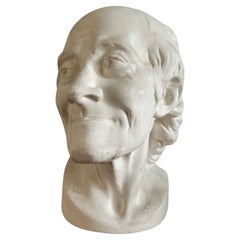 Mask Voltaire plaster 