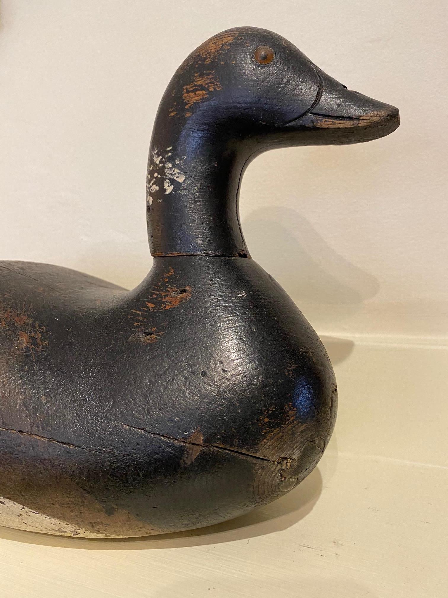 Mason Atlantic Coast Model Brant Decoy, circa 1920, owned by the Muskeget Island Shooting Club (Nantucket). The decoy has head akin to the Challenge Grade models with glass eyes, carved nares and mandible, fastened to large body via peg inserted