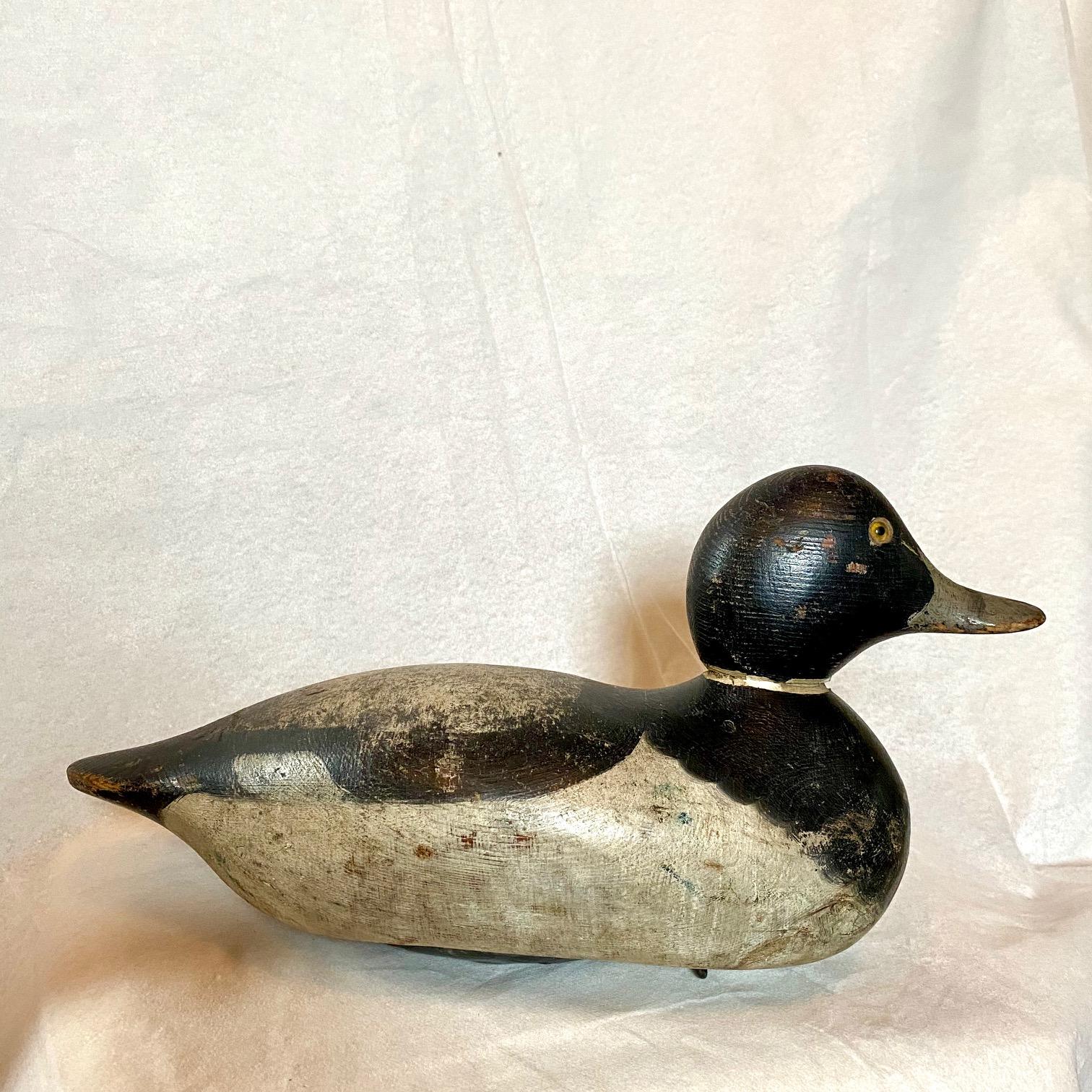 Mason Bluebill Drake Decoy, circa 1920, a standard grade glass eye model in very good but worn original paint with strong breast swirls, looks like one small working touch-up to the black on the left wing, one small tight age check where the line