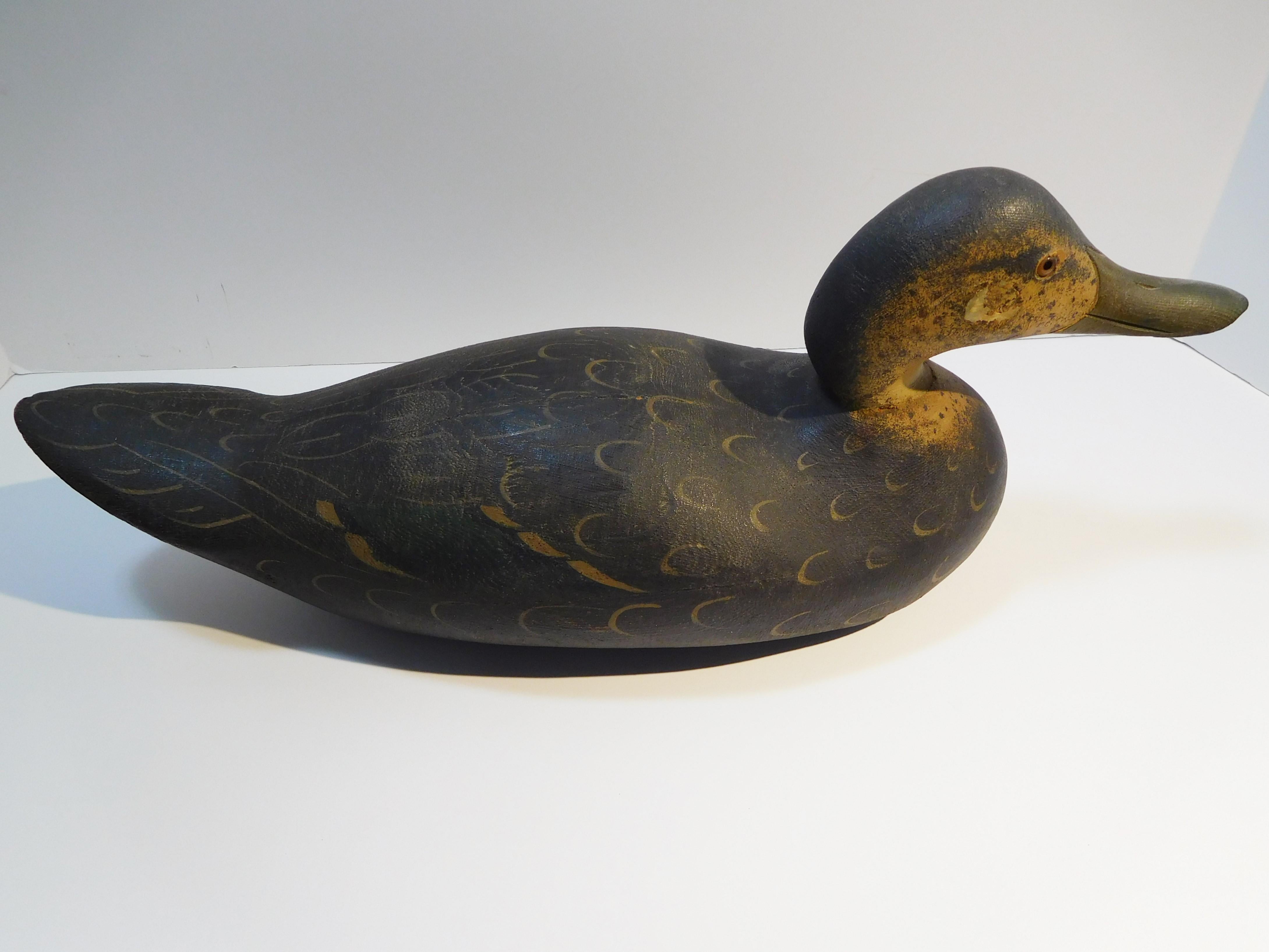 This decoy was made by the Mason Decoy Factory (1896-1924) of Detroit, Michigan, circa 1900. It came from a large rig of Mason black duck decoys assembled in eastern Maine in the early 20th century. The rig was rarely used and it spent most of its