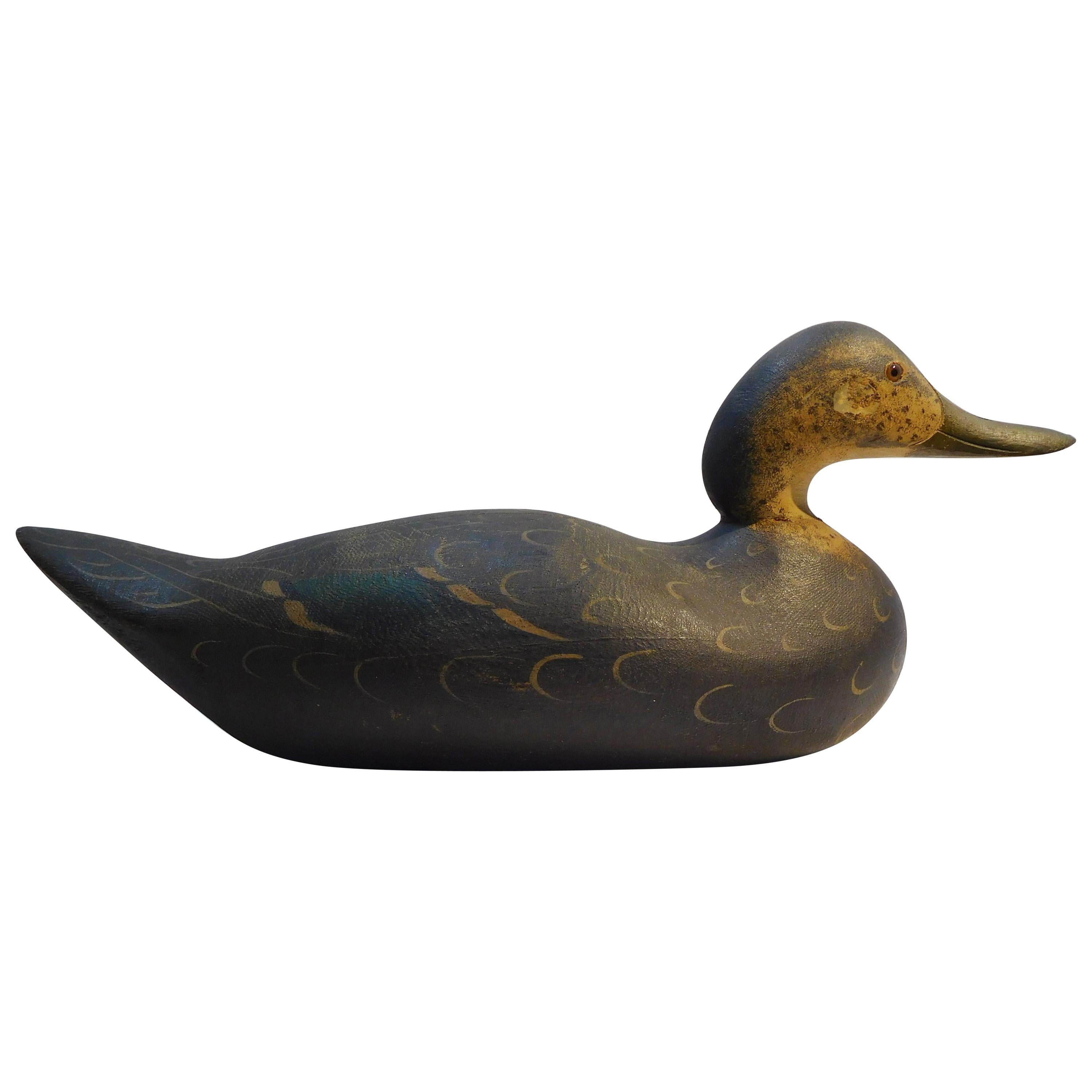 Mason Decoy Factory Challenge Grade Black Duck, Original Paint, circa 1900 For Sale