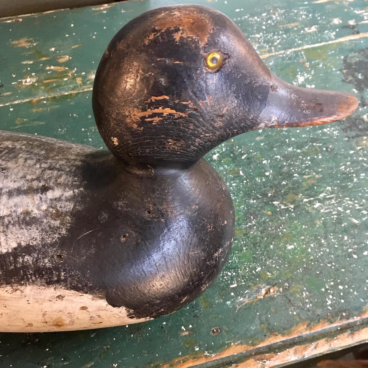Mason glass eye bluebill Drake decoy, circa 1920. The decoy retains most of it's original paint with just some touch-up. Mason decoys were extremely popular and sought after in the Detroit area.

Dimensions 13.75