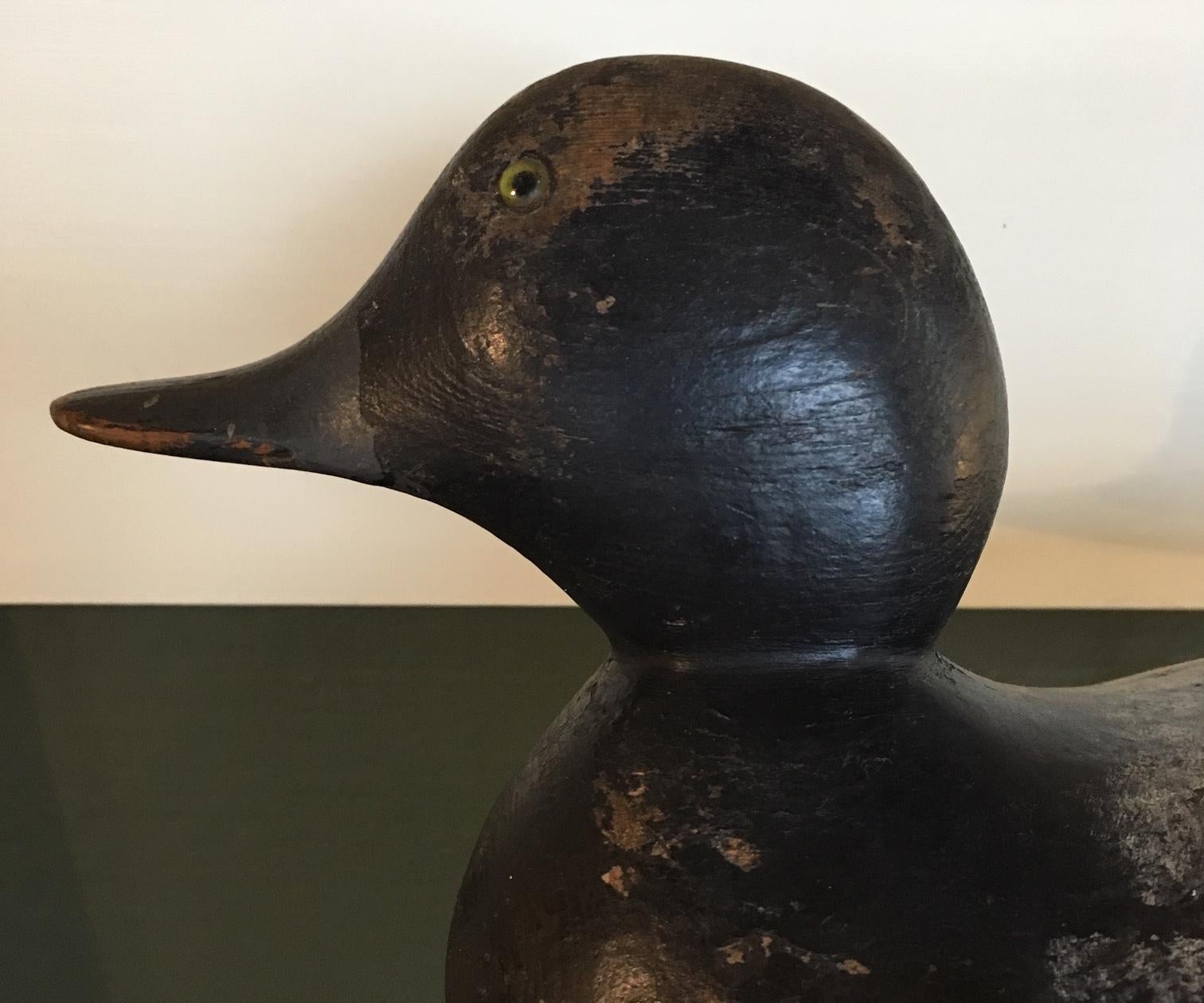 Mason Glass Eye Bluebill Drake Decoy, circa 1920 In Good Condition In Nantucket, MA