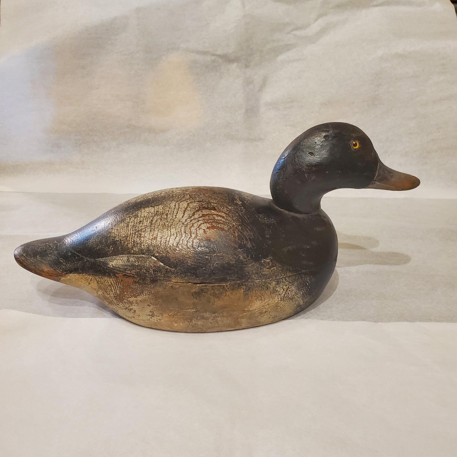 Folk Art Mason Premier Grade Bluebill Drake, circa 1920 For Sale