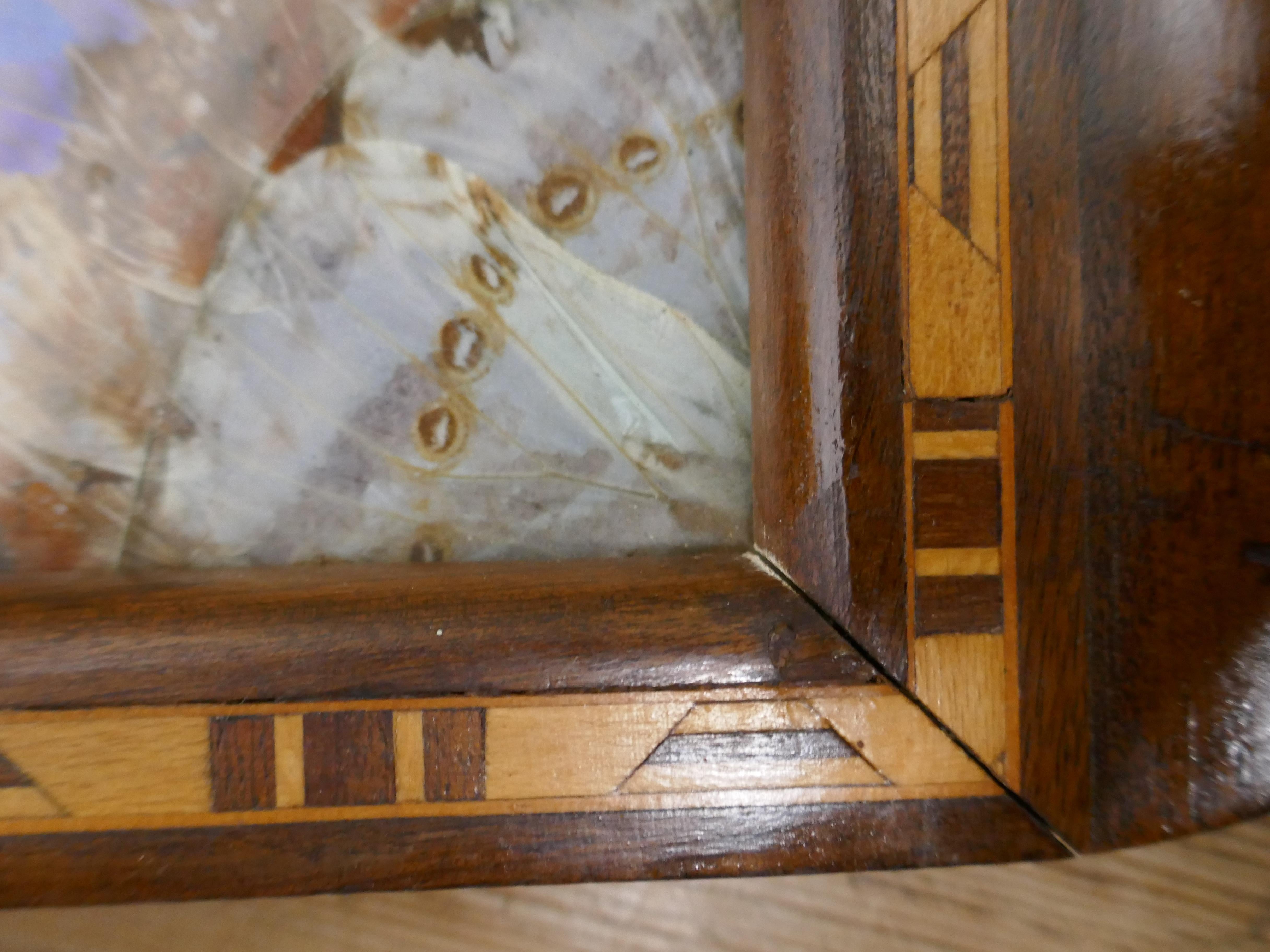 Edwardian Masonic Tunbridge Wear Tray with Butterfly Wing Decoration For Sale