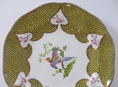 Mason's Ironstone Cabinet Plate hand painted exotic bird and roses, circa 1900