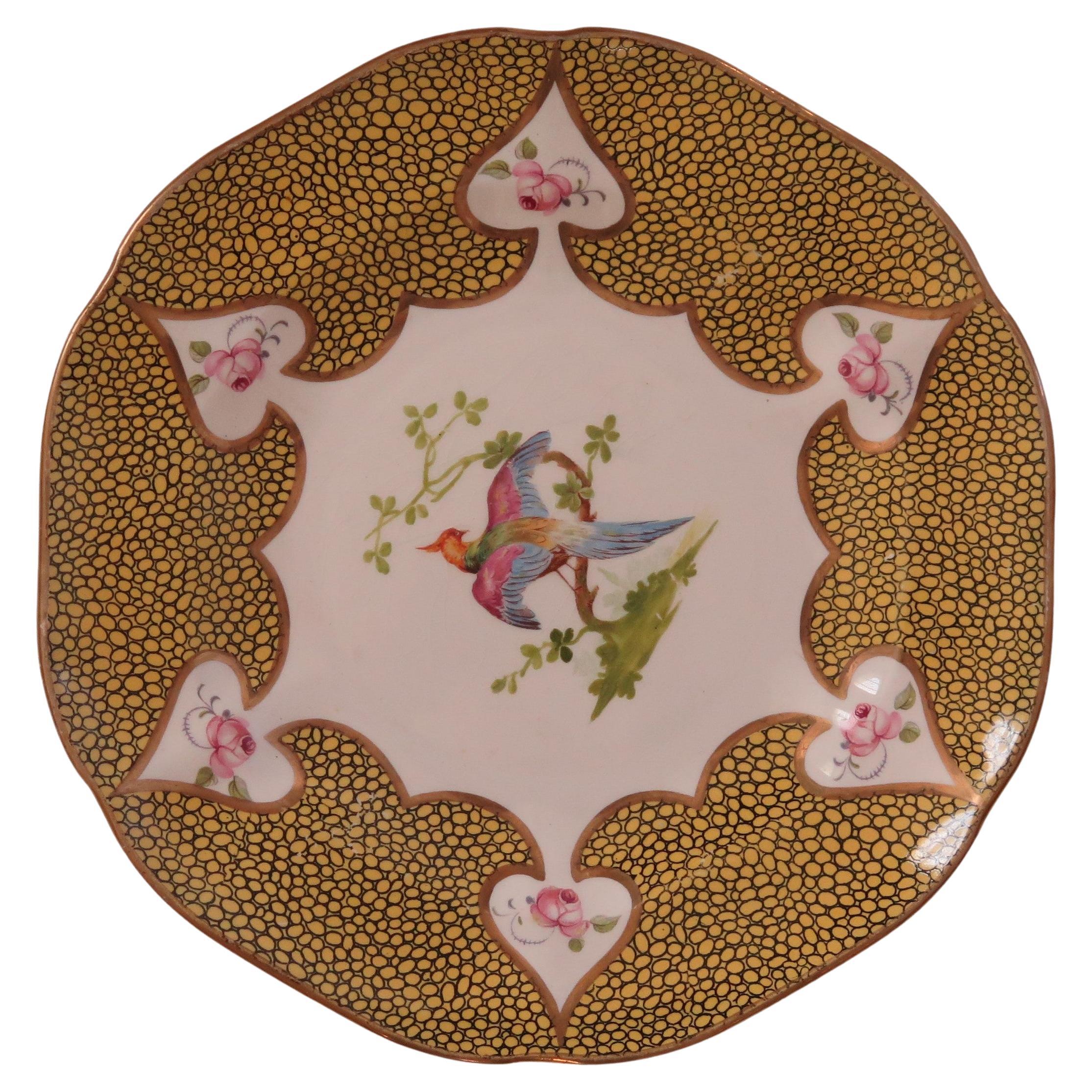 Mason's Ironstone Cabinet Plate hand painted exotic bird and roses, circa 1900