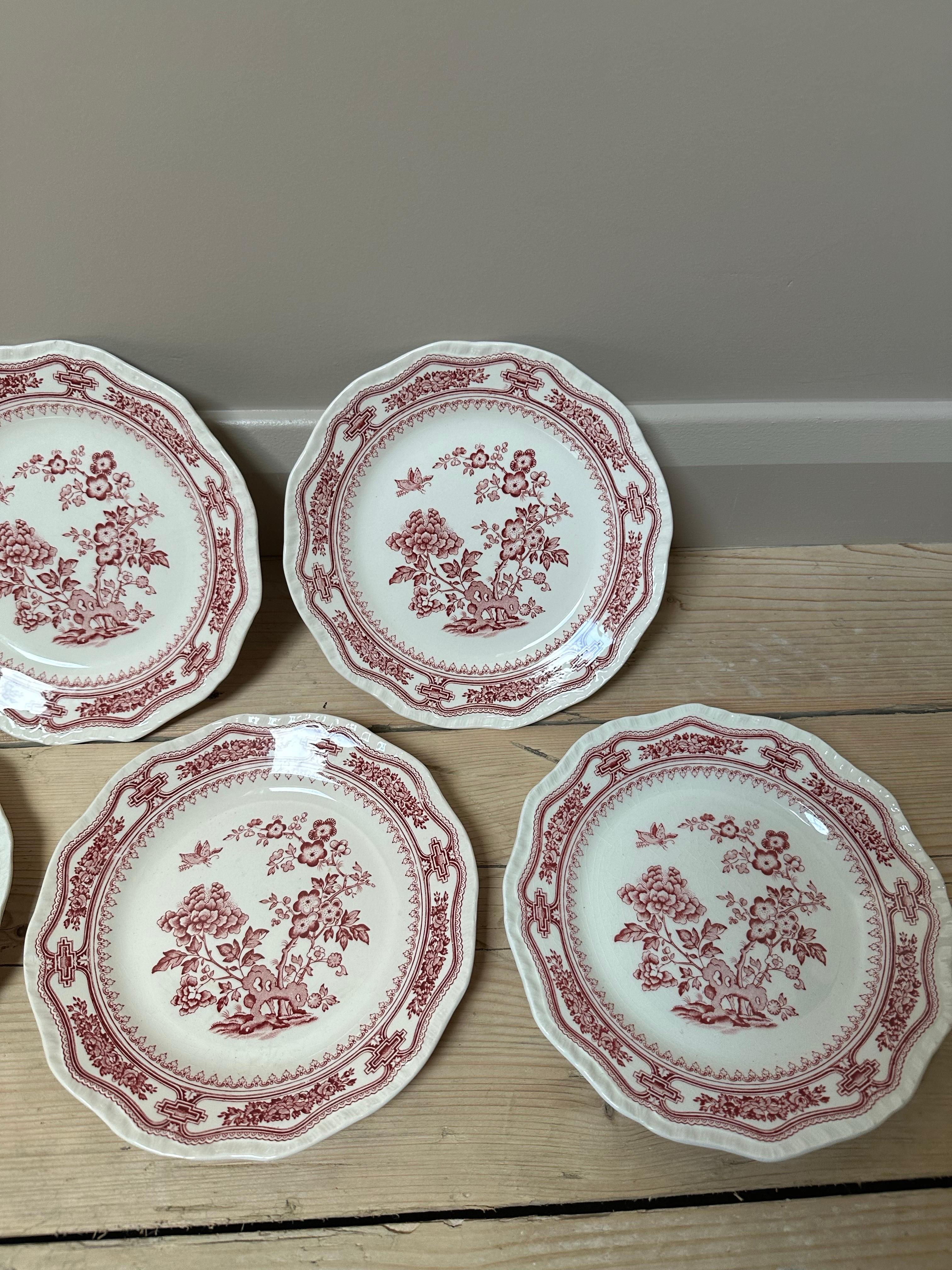 Das Bild zeigt einen Satz von 5 Mason's Ironstone-Speisetellern mit dem Muster Manchu Pink, die in den späten 1800er Jahren hergestellt wurden. Jeder Teller misst 8 Zoll im Durchmesser und zeigt ein zartes rosa-weißes Blumenmotiv auf feinem